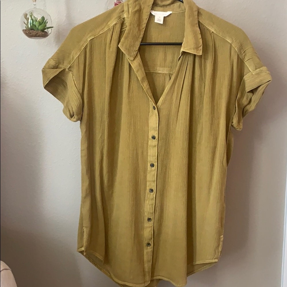 Light Button Up Blouse